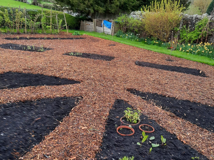 A garden bed with mulch and some new plants