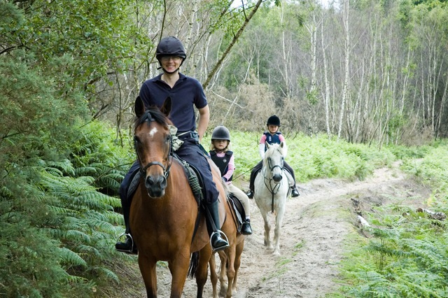 Helena Traill riding with father Phillip and sister in threshing barn